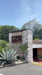 Thumbnail of brunch_around on TikTok