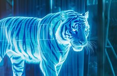 Thumbnail of A More Ethical Zoo Experience: The Future Is Holographic Zoos | Born Free USA