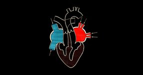 Thumbnail of Let Your Heart Be Broken