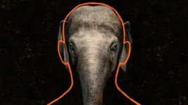 Thumbnail of The Elephant in the Courtroom