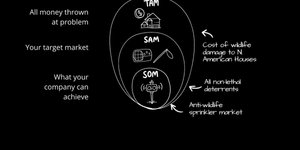 Thumbnail of The Market Size Dilemma