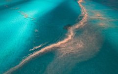 Thumbnail of Why ‘ocean time’ reveals new ways of seeing the world | Aeon Essays