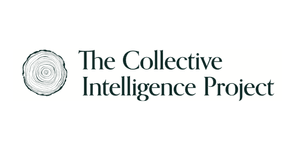 Thumbnail of The Collective Intelligence Project