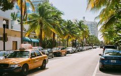 Thumbnail of Art Basel Miami Beach 2025 Press Dossier: discover this year's highlights