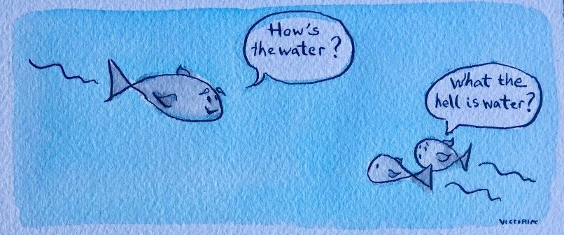 Thumbnail of this is water - Google Search