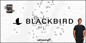 Thumbnail of Blackbird