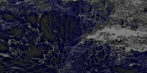 Thumbnail of The Certainty Trap