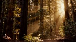 Thumbnail of Loving Nature - Atmos