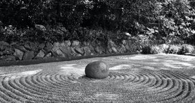 Thumbnail of Network Leadership Toolkit