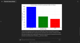 Thumbnail of Financial Literacy Buddy