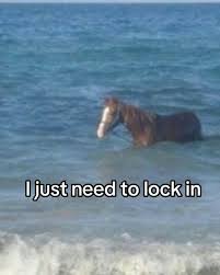 Thumbnail of i just need to lock in horse - Google Search