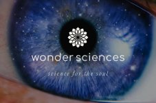 Thumbnail of Wonder Sciences