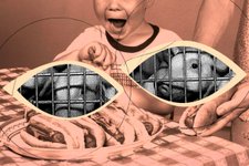 Thumbnail of Humanity is failing one of its greatest moral tests