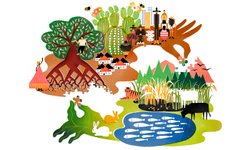 Thumbnail of What Does An Ecological Civilization Look Like?