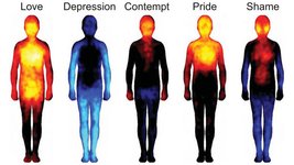 Thumbnail of Mapping Emotions On The Body: Love Makes Us Warm All Over