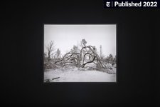 Thumbnail of A Minnesota Exhibit Framed Around Longing for Home (Published 2022)