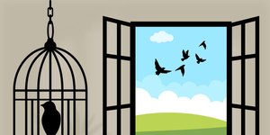 Thumbnail of Cruel Paradox of Freedom