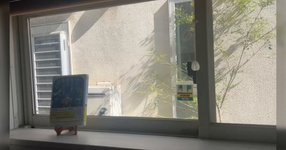 Thumbnail of 「シジュウカラ語」の研究本を読んだ男の子のところに毎日シジュウカラがやってきて「集まれ」と鳴くように→本を書いた鈴木俊貴さんも驚愕