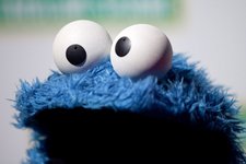 Thumbnail of Every Last One of Us Is a Chaos Muppet or an Order Muppet