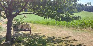 Thumbnail of ‘I want a life!’ Freedom from dependency on the prison of roles and duty