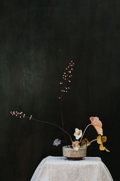 Thumbnail of Image