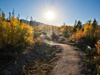 Thumbnail of Feeling Lost? Here Are Four Steps to Finding Your Path