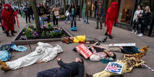 Thumbnail of No, You Don’t Have the Power to Stop Climate Change