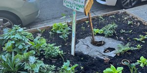 Thumbnail of salad days