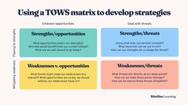 Thumbnail of Guide: using a TOWS matrix to turn your SWOT analysis into strategy [with examples + templates] — BiteSize Learning
