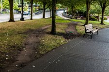 Thumbnail of Least Resistance: How Desire Paths Can Lead to Better Design - 99% Invisible