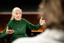 Thumbnail of How Jane Goodall’s Death Initiated Netflix’s Newest Show