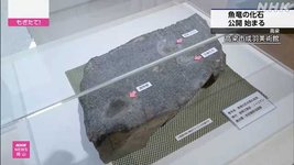 Thumbnail of 高梁市で発見された2億年以上前の「魚竜」の化石 公開始まる ...