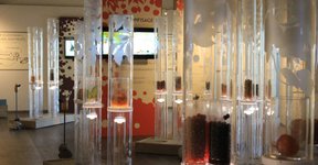 Thumbnail of THE CANDIED FRUIT MUSEUM