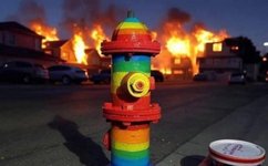 Thumbnail of Dispatches from the Group Chats, Inauguration Edition