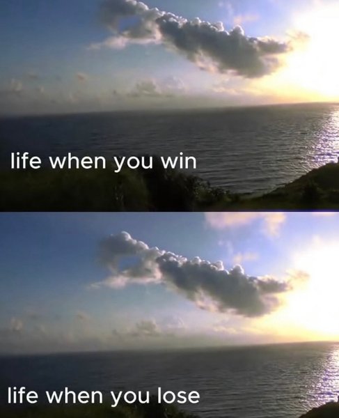 Preview of 3fbc-0-969d3f96a7c54bee