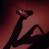 Thumbnail of About — thegirlwholeftthefridgeopen