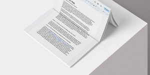 Thumbnail of The Doc Web