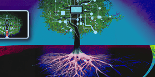 Thumbnail of Grounding In The Age Of Infinite Content
