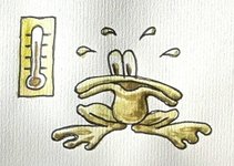 Thumbnail of Category Theory for Programmers: The Preface