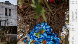 Thumbnail of Mabe Fratti: Se Ve Desde Aquí Album Review | Pitchfork