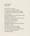 Thumbnail of Wild Geese - A Poem by Mary Oliver