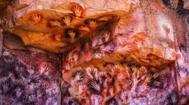 Thumbnail of We are different from all other humans in history