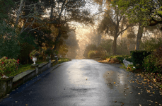 Thumbnail of The Madrona Hotel | Luxurious Rooms in Healdsburg, CA