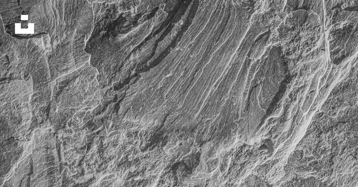 Preview of sur-unsplash