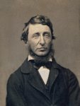 Thumbnail of Henry David Thoreau - Wikipedia