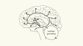Thumbnail of Rethinking Goals: the Science of Nonlinear Goal Setting