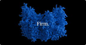 Thumbnail of Firm.
