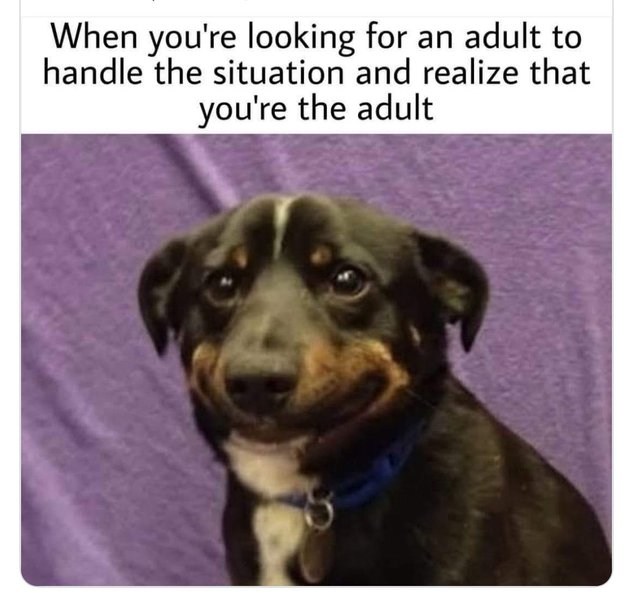 Thumbnail of Apapach-Arte (@apapacharte)