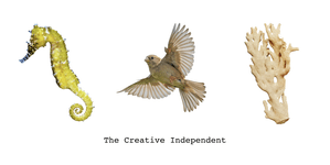 Thumbnail of Welcome to The Creative Independent