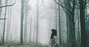 Thumbnail of Chasing Fog: The Science and Spirituality of Nature’s Grounded Cloud